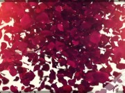 Outside blowjob and fuck near train and highway 1/16