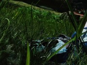 skyrim fan demo 7 13/16