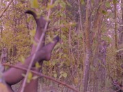 Perv Spies on Pantyhose Babe in Forest & Gets a Blowjob & Footjob Outdoors 2/16