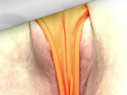 Slideshow Cameltoe Delight #1 with pussy leaking cum creampie 11/16