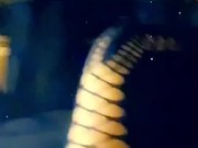 Ebony Girls Share Black Dick to Avoid Any Action After Car Accident  Twitter @SwingLikeTarzan 5/16