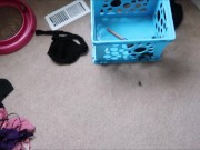 Trying on all my bodysuits- uncut softcore YouTube video 16/16