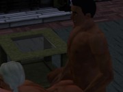 Swing meeting of two families on the doorstep of the house | video game sex