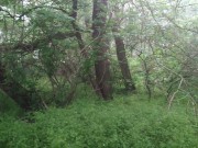 Porno parody Daredevil. Outdoor risk sex . Daredevil fuck me in wood  2/16