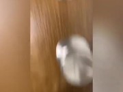 MIDGET TINY TEXIE AND THE MAINTENANCE GUY!! 4/16