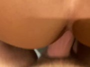 Doggie in bathroom with Daisy Lee 14/16