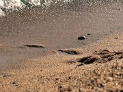 Hot Summer time Lara Tinelli 16/16