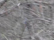 Peeping Tom on teen play with pussy in forest, public masturbation orgasm 2/16