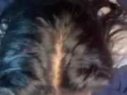 Latina loves sucking dick 5/16