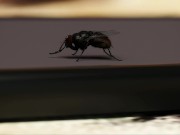 BEING A DIK #79 • PC GAMEPLAY [HD] 11/16