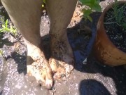 Very Hairy Hirsute Camgirl Shows Hairy Girl Legs Outside in Garden Splashes Muddy Wet Dirty Puddle 14/16