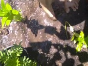 Very Hairy Hirsute Camgirl Shows Hairy Girl Legs Outside in Garden Splashes Muddy Wet Dirty Puddle 8/16