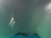 Tits out in the public pool