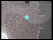 CRIMSON KEEP CHAPTER 2 ( INTROSPURT ) FULL GAMEPLAY WALKTHROUGH 2/16