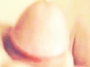 Afternoon Butterfly  16/16