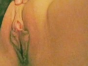 Afternoon Butterfly  2/16