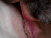 Super gros plan d'une chatte humide de milf léchée et baisée 3/16