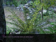 Indecent Desires #5 - PC Gameplay Lets Play (HD) 6/16