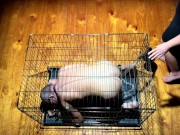 Mistress April - Slave Humiliation 15/16