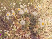 Giovane tettona modella italiana si mostra nuda in pubblico al parco 2/16