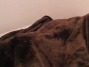 Morning routine with beautiful babe under fur blanket 1/16