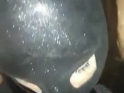 Oral a mi maestro 6/16