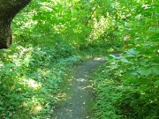 Quarantine in the Woods: Deep Fuck MILF Facial 1/16