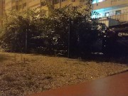 Fucked with cancer in the yard 1/16