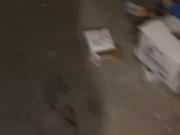 Surprise Swallow at Dukes Bar POV BarbieCharlie 1/16