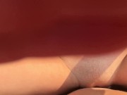 Spacer po lesie z nowym kolegą 12/16