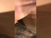 Spacer po lesie z nowym kolegą 16/16