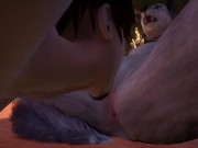 WILD LIFE - Meeting New Friends - Eps 01 3/16