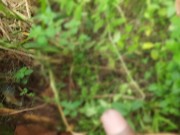 srilankan Young Couple Caught Fucking in Public -jungle sex 4k ට්‍රිප් ගිහින් කැලෙ හුකාගන්න කෙල්ලො 2/16