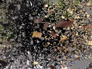 german girls outdoor trampling 16/16