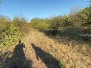 Первое свидание с девушкой из Тиндера закончилось сексом на природе! POV 1/16