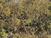 Первое свидание с девушкой из Тиндера закончилось сексом на природе! POV 2/16