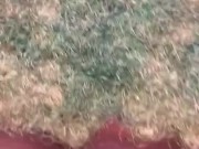 Sucking on this big pussy in the car 9/16