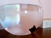 Buone vacanze da Radiopornopanda, torneremo il 20 agosto 12/16