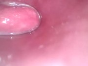 inside hot wet juicy pussy 9/16