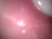 Female Cumming for you 16/16