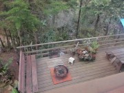 PAWG FUCKS 11 INCH BBC ALL OVER OUTDOORS - @elKonguito @sweetauroramae 1/16