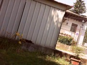 Public masturbation in the public garden come and spy on me wanker! 1/16