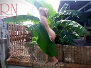 Rural striptease. Country girl dancing in the yard of her house Rustic striptease with banana leaf 4/16