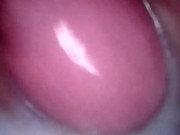cum see inside my creamy pussy 14/16