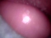 inside my cum filled pussy 11/16
