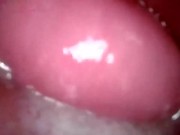 inside my cum filled pussy 14/16