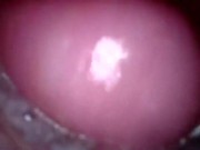 inside my cum filled pussy 8/16