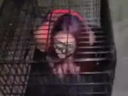 Master caged his tiny slave  1/16