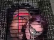 Master caged his tiny slave 