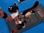 Public Gym Fuck Red Panda Cumflation Breeding - Second Life Yiff 10/16